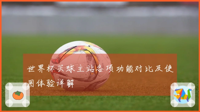 世界杯买球主站各项功能对比及使用体验详解
