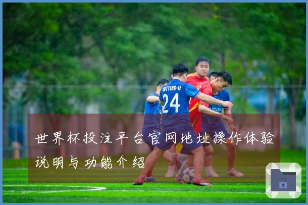 世界杯投注平台官网地址操作体验说明与功能介绍