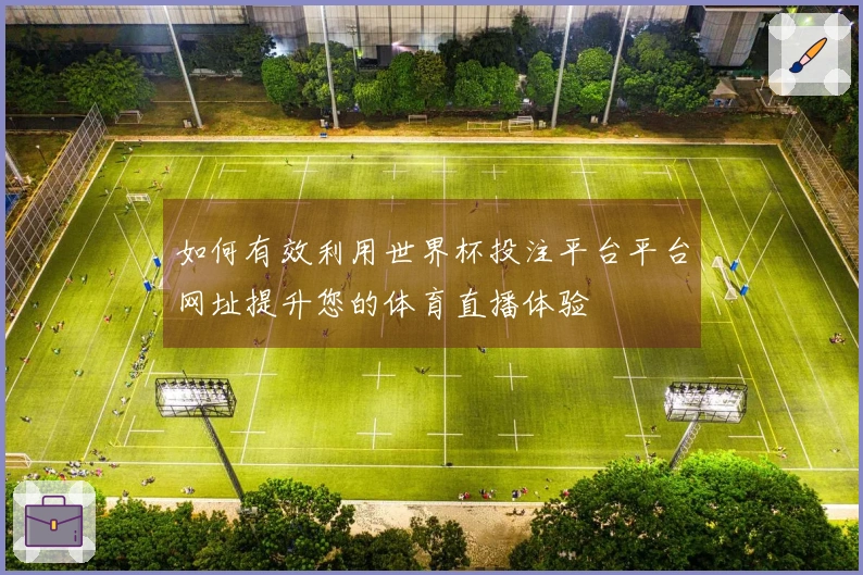 如何有效利用世界杯投注平台平台网址提升您的体育直播体验