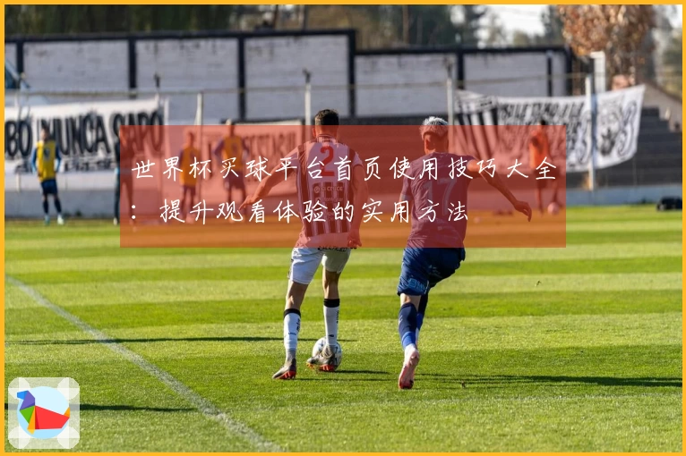 世界杯买球平台首页使用技巧大全：提升观看体验的实用方法