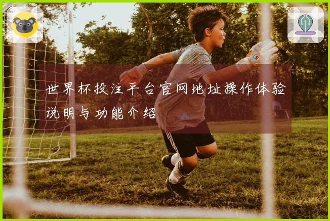 世界杯投注平台官网地址操作体验说明与功能介绍