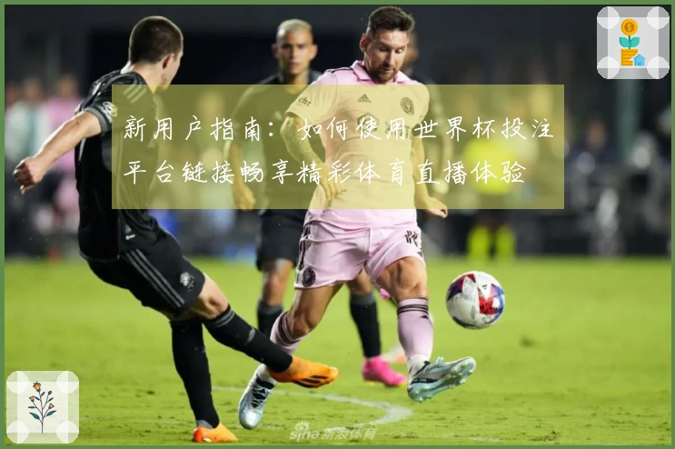 新用户指南：如何使用世界杯投注平台链接畅享精彩体育直播体验