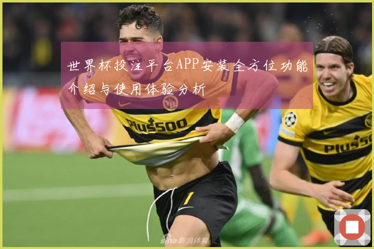 世界杯投注平台APP安装全方位功能介绍与使用体验分析