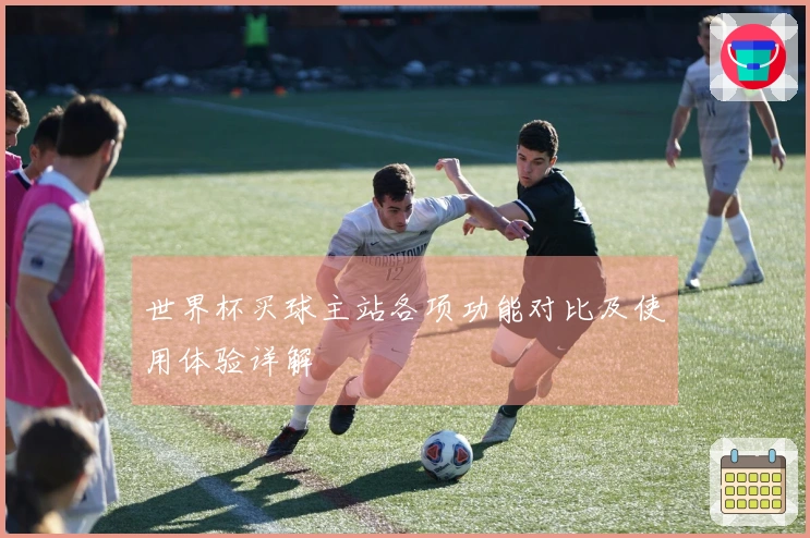 世界杯买球主站各项功能对比及使用体验详解