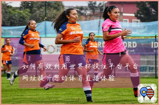 如何有效利用世界杯投注平台平台网址提升您的体育直播体验