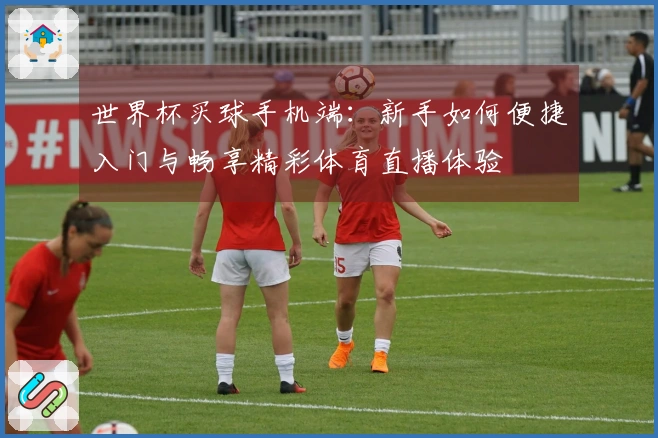 世界杯买球手机端：新手如何便捷入门与畅享精彩体育直播体验