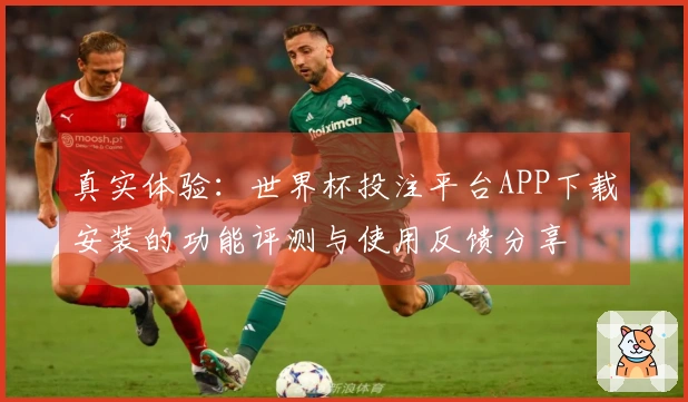 真实体验：世界杯投注平台APP下载安装的功能评测与使用反馈分享