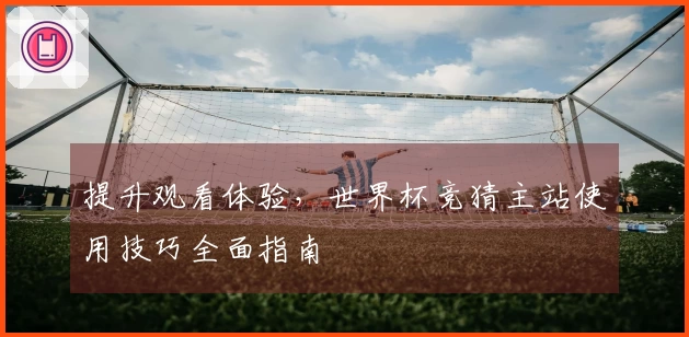 提升观看体验，世界杯竞猜主站使用技巧全面指南