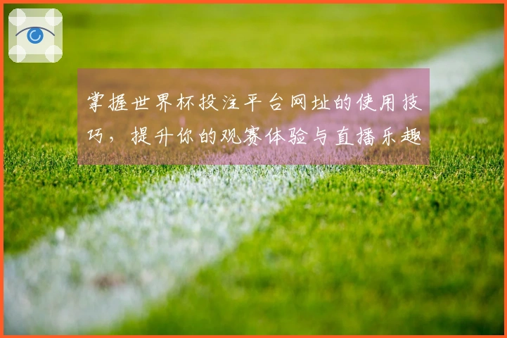 掌握世界杯投注平台网址的使用技巧，提升你的观赛体验与直播乐趣