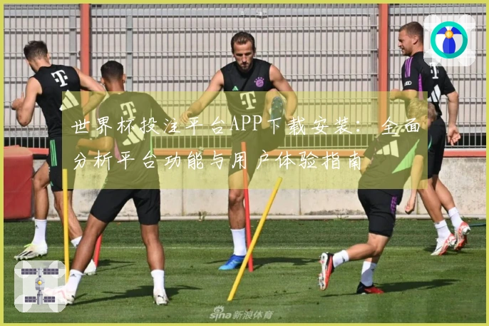 世界杯投注平台APP下载安装：全面分析平台功能与用户体验指南