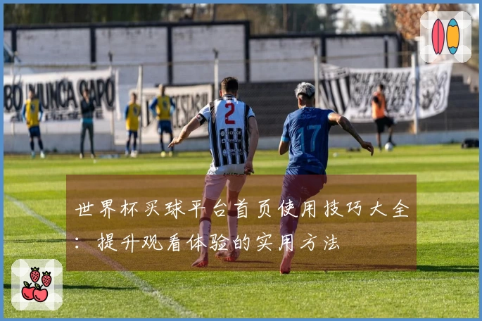 世界杯买球平台首页使用技巧大全：提升观看体验的实用方法