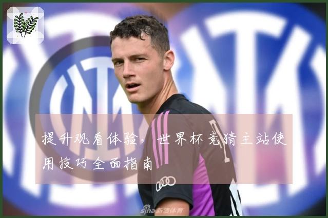 提升观看体验，世界杯竞猜主站使用技巧全面指南