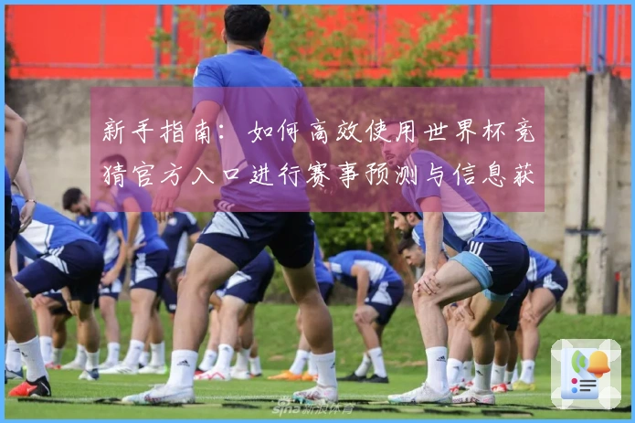 新手指南：如何高效使用世界杯竞猜官方入口进行赛事预测与信息获取