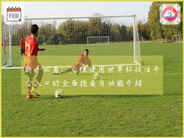 新手必看：合理使用世界杯投注平台入口的全面指南与功能介绍